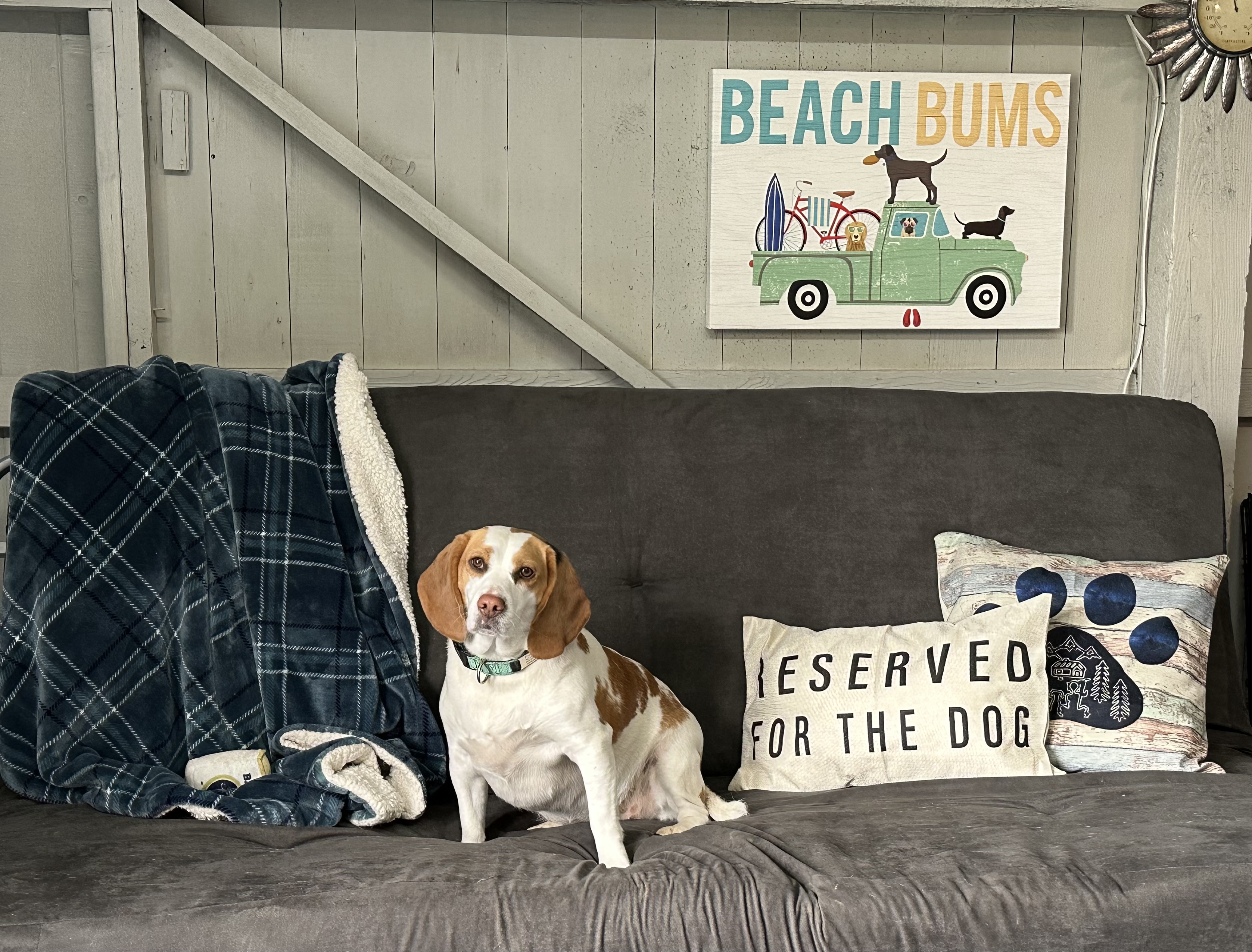 Wallace Falls Farm's Photo