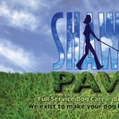 Shawe's Paws Dog and Cat Care