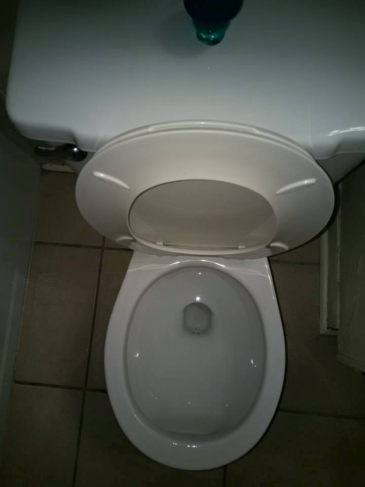 TranquilFresh's Photo