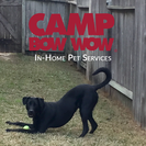 Camp Bow Wow In-Home Pet Services