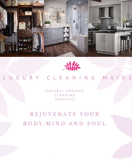 Luxury cleaning maids