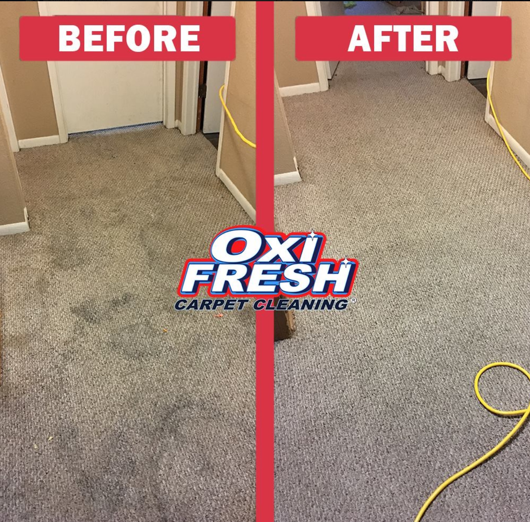 Oxi Fresh Carpet Cleaning's Photo
