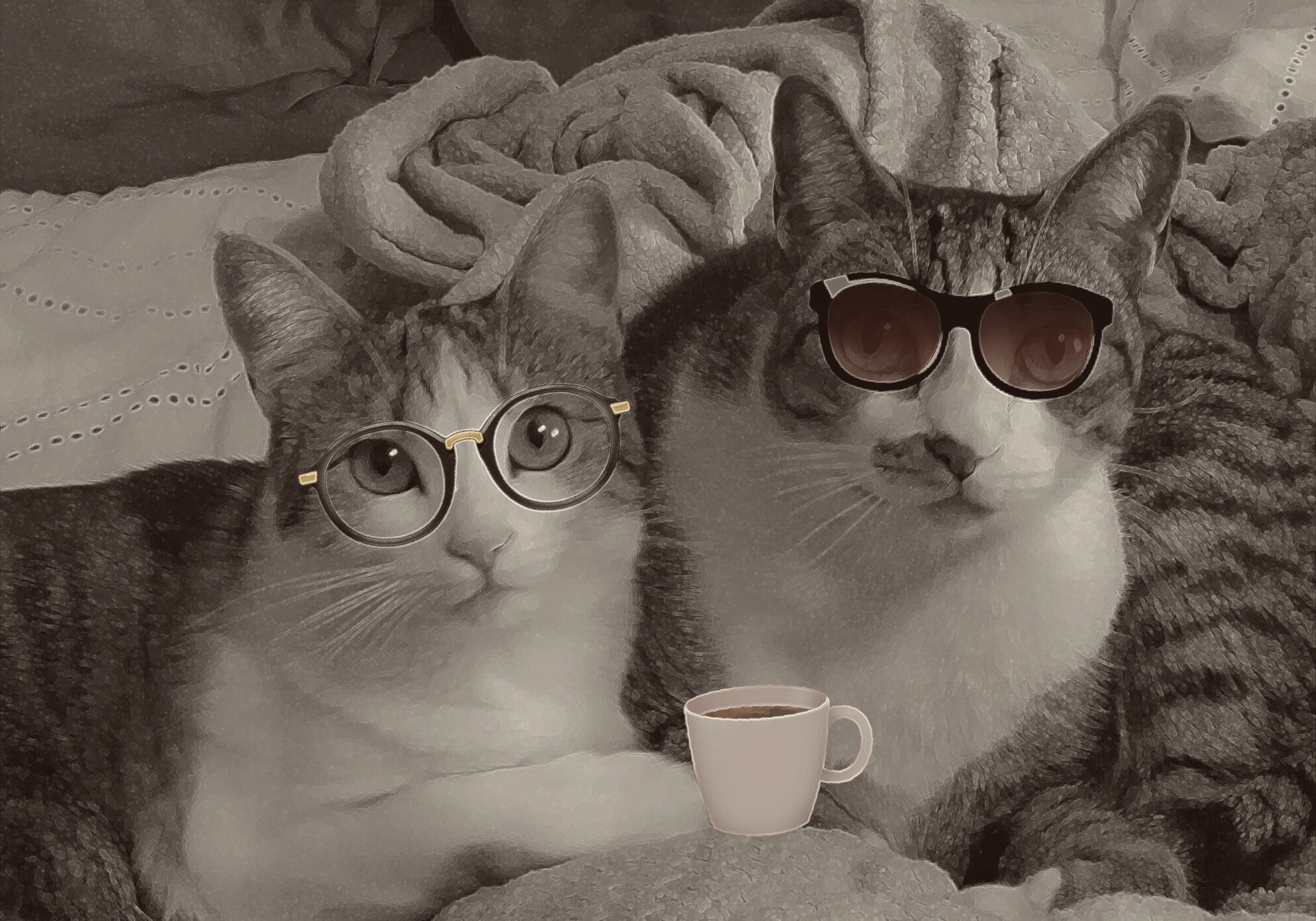 Visiting Meowers's Photo