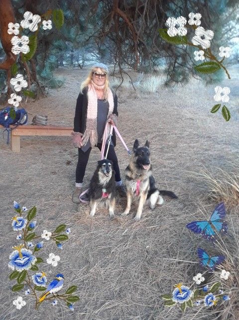 Cheryl's Doggy Den Daycare's Photo