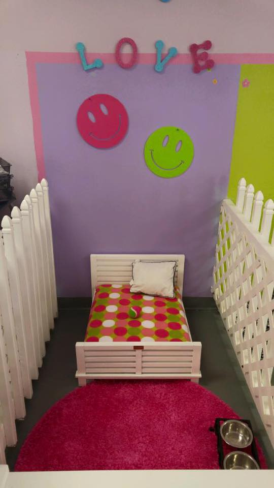 5 Paws Hotel & Salon's Photo