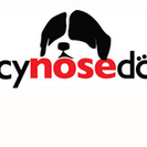 Nancy Nose Dogs