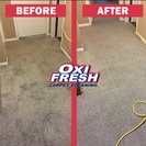 Oxi Fresh Carpet Cleaning