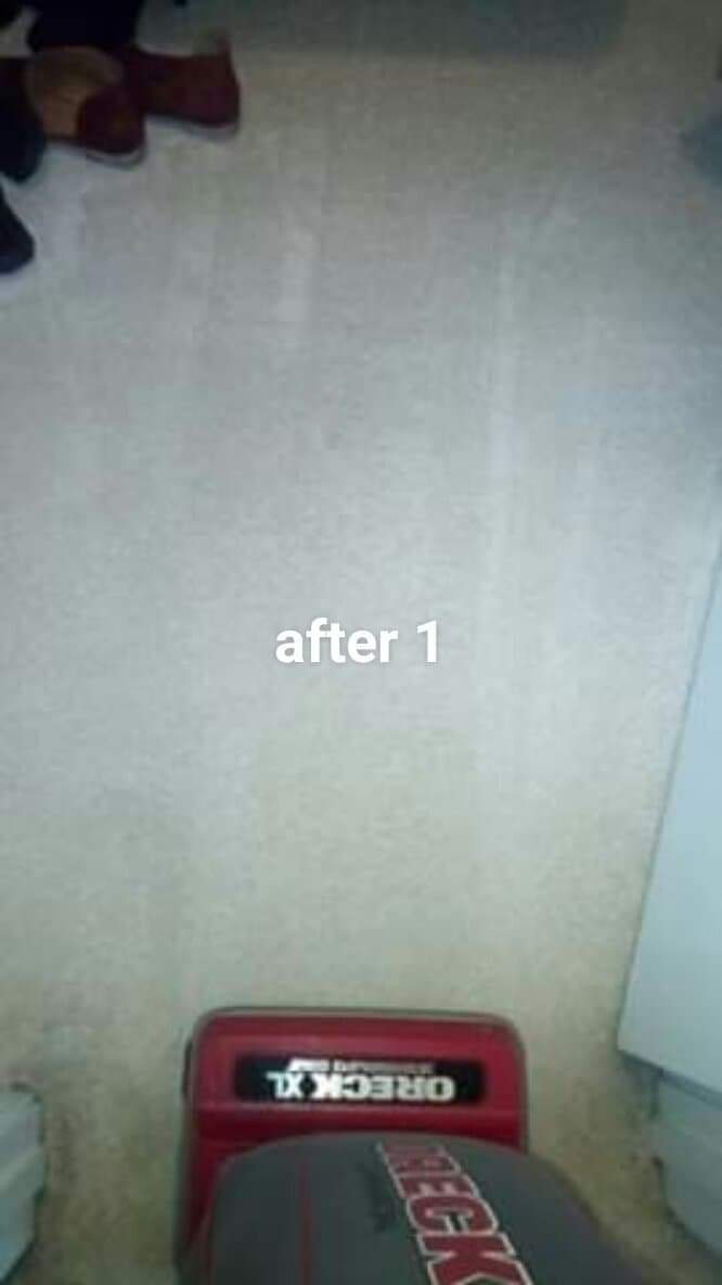 Clean tear cleaning service's Photo