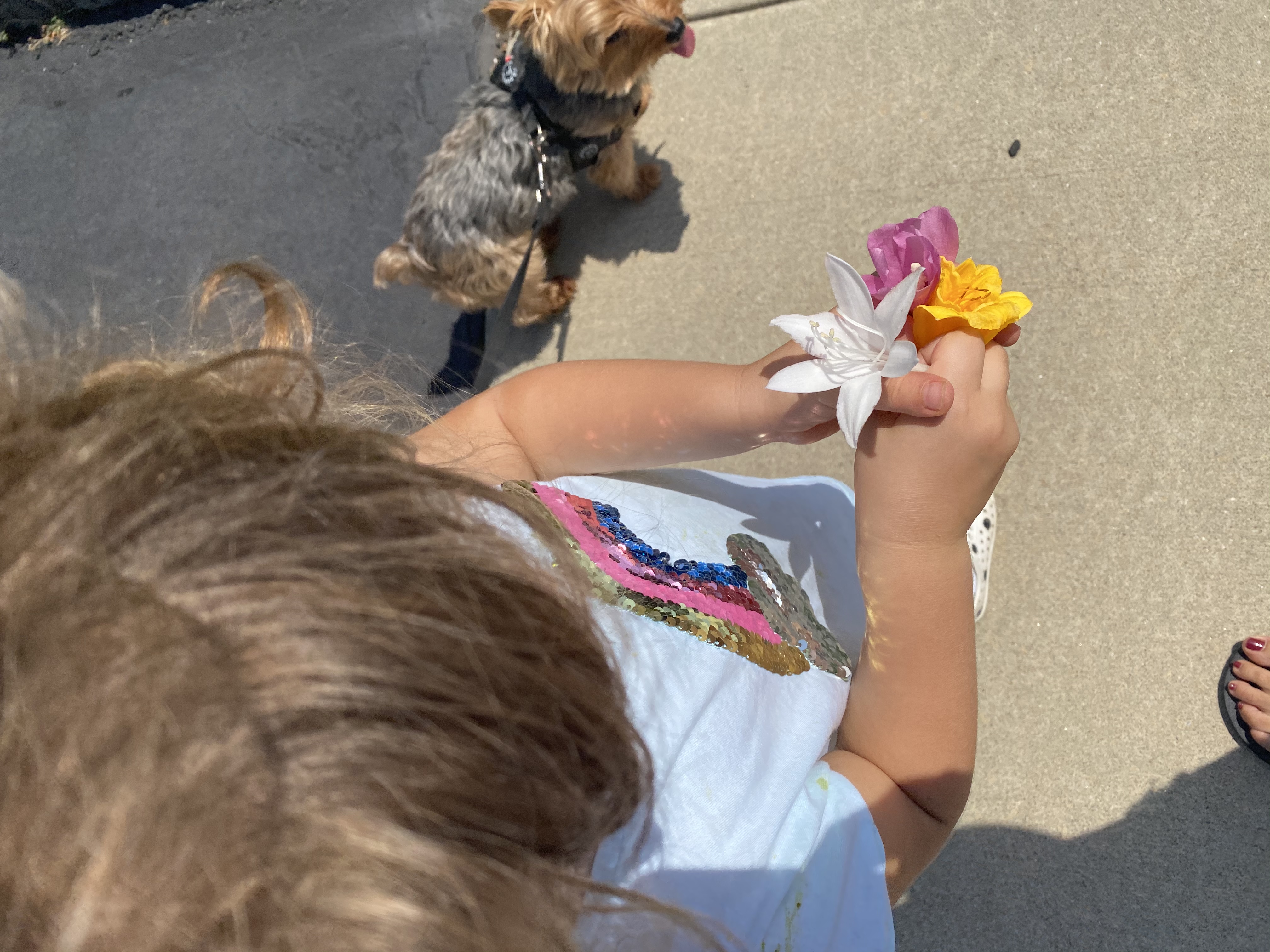 Monarch Schoolhouse's Photo