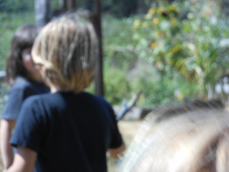 The Garden Art Studio After School Program LLC