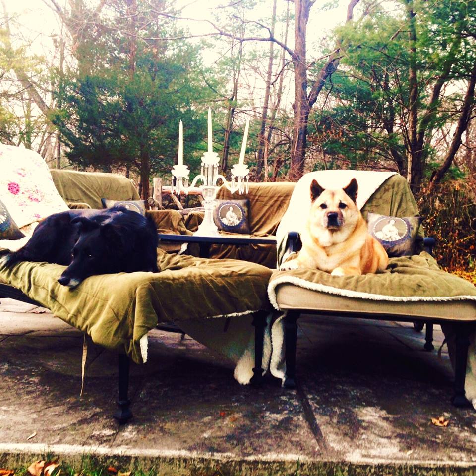 Together By My Side, LLC's Photo