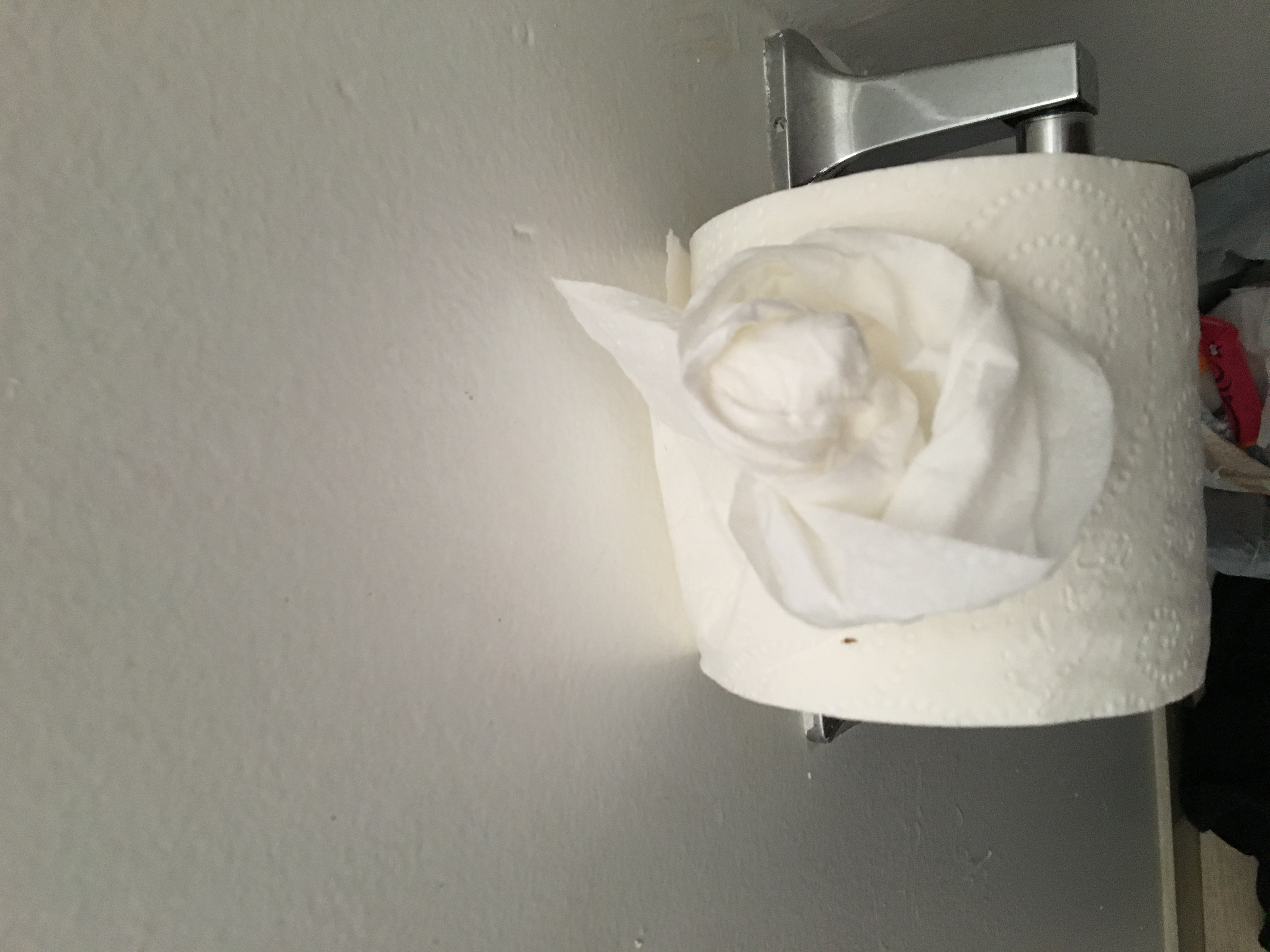 Ray of Sunshine Cleaning's Photo