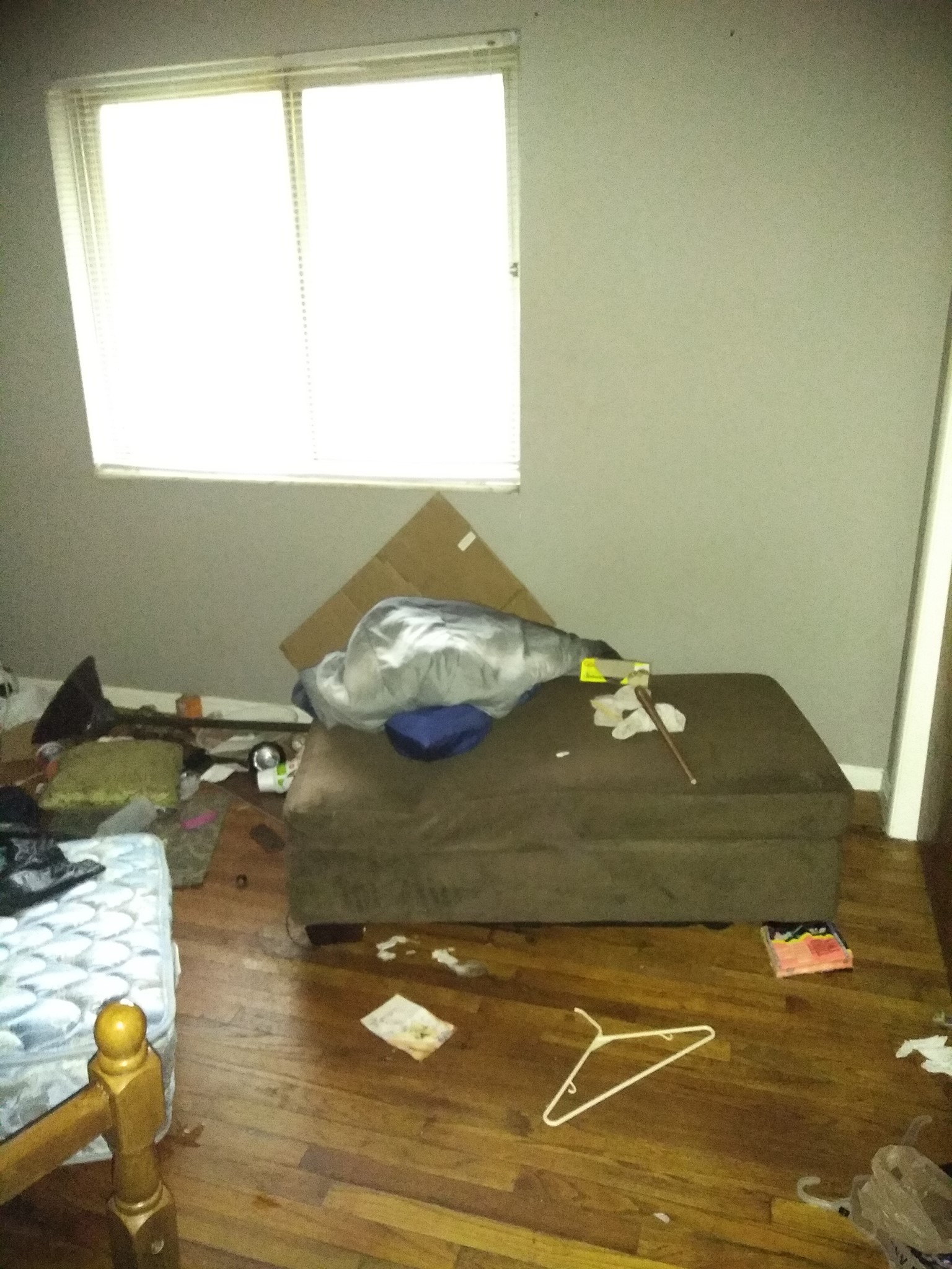 Dream Care Solutions's Photo