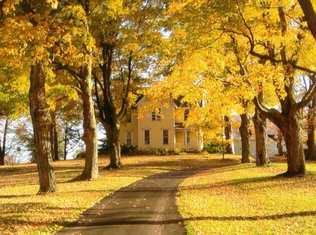 Maple Lane Day Care