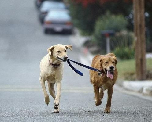 While You Were Out, LLC's Photo