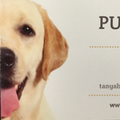 Pup Walk LLC
