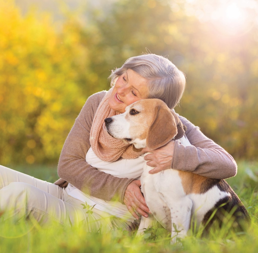 Photo gallery image - 1