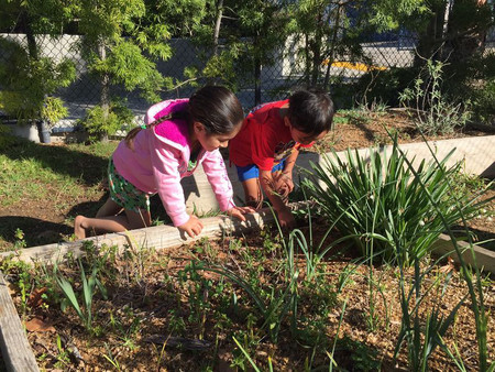 San Marcos Parent Child Workshop Inc