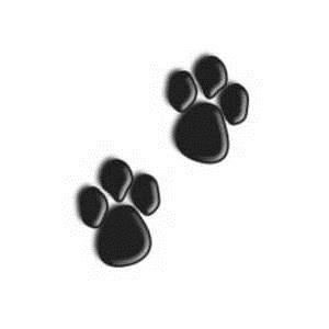 Los Gatos Academy Preschool's Photo