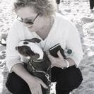Must Love Pets - A Professional Pet Sitting & Dog Walking Service LLC
