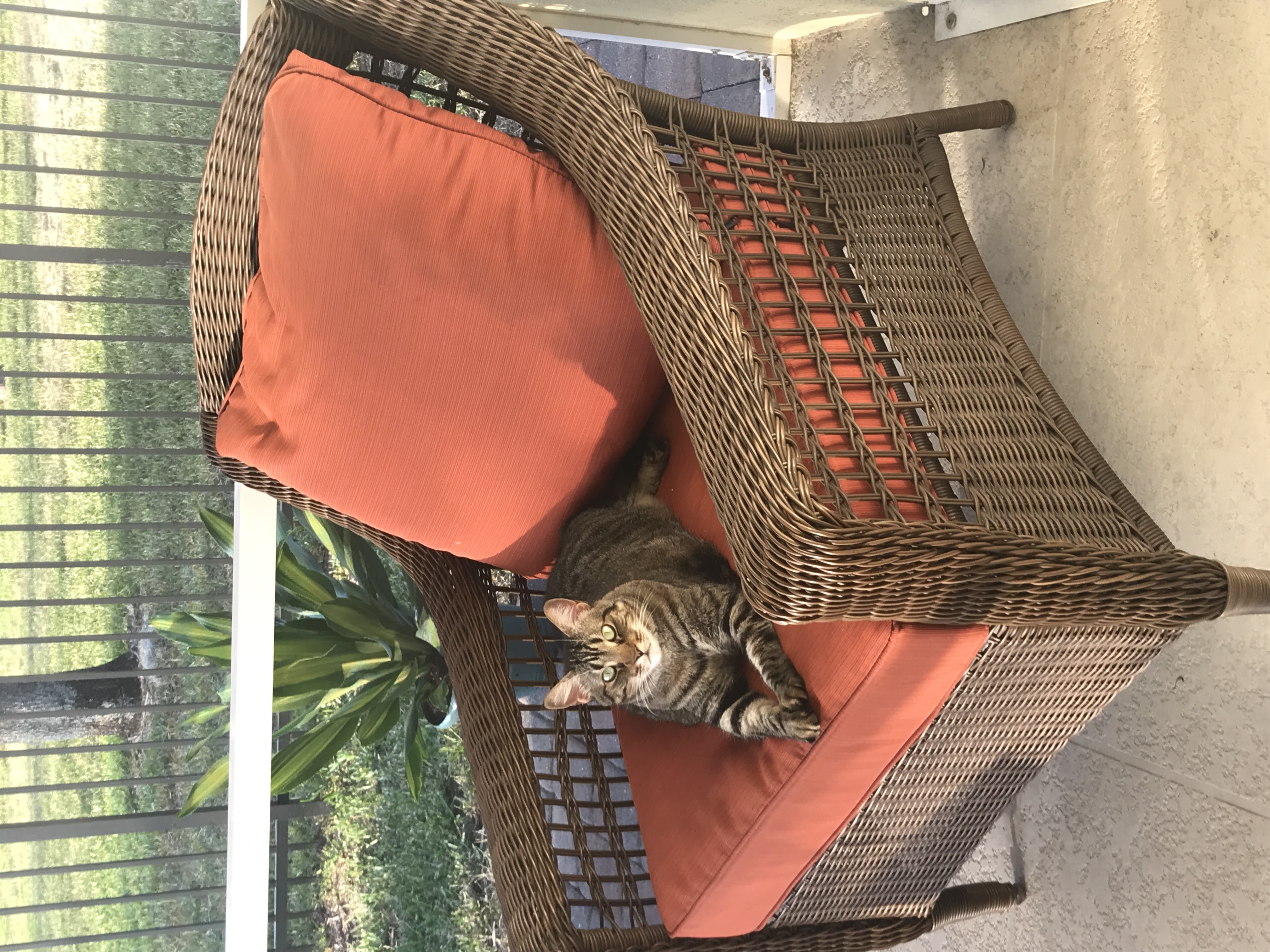 Mandi Poppins Pet Care's Photo