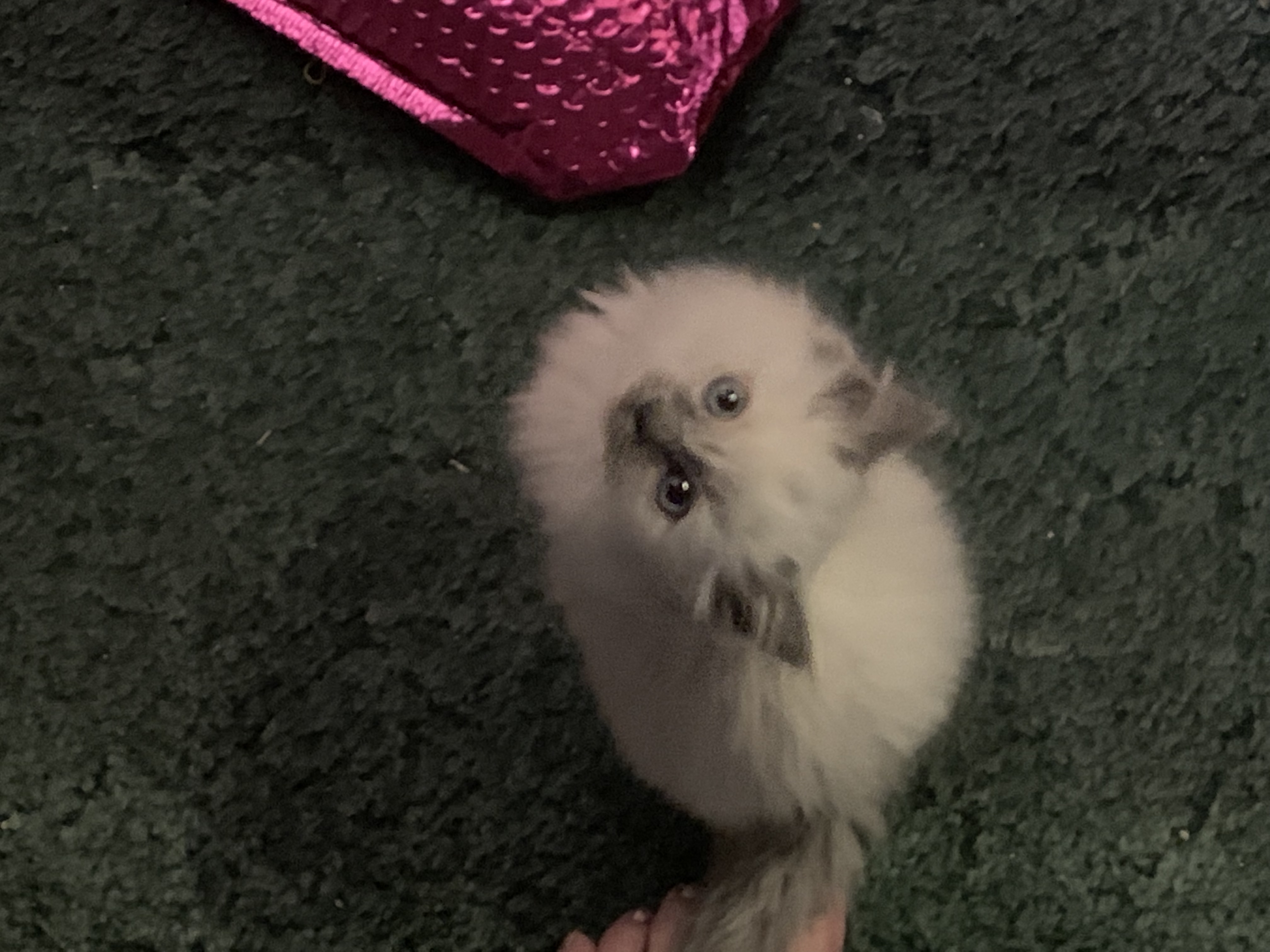 Jax's Pet Care's Photo