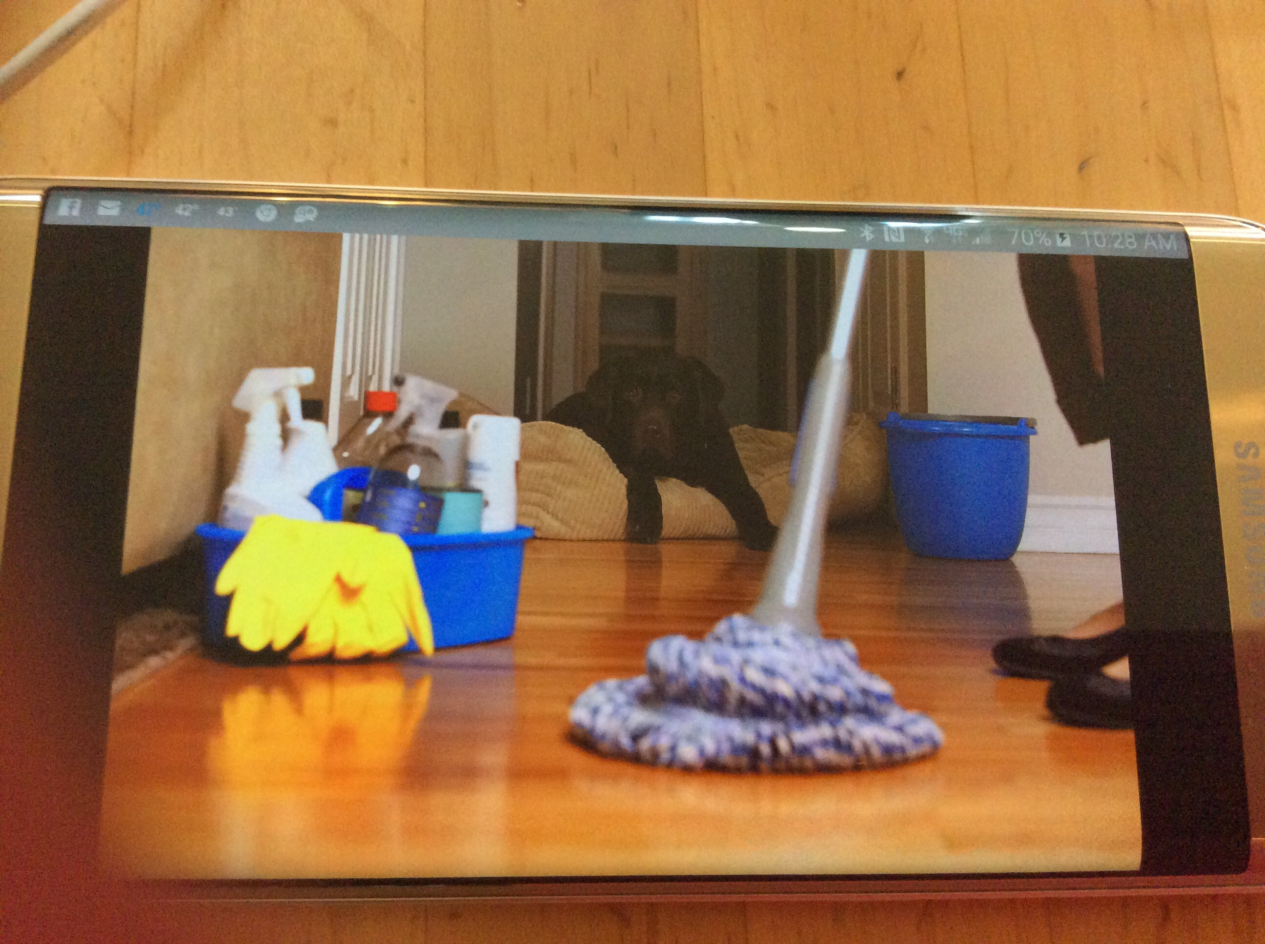 Crispy Clean LLC's Photo