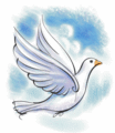 Ascention Homehealth Services's Photo