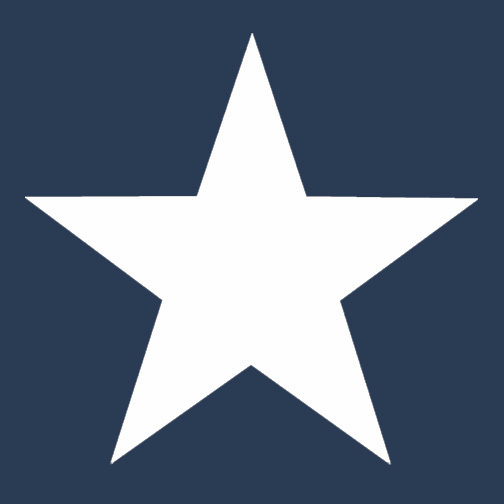 Blue Star Home Daycare Logo
