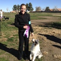 Pawsitive Paws Dog Training's Photo