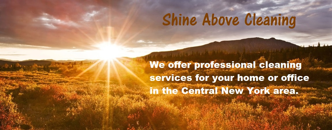 Shine Above Shine's Photo