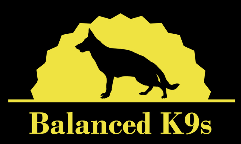 Balanced K9s's Photo