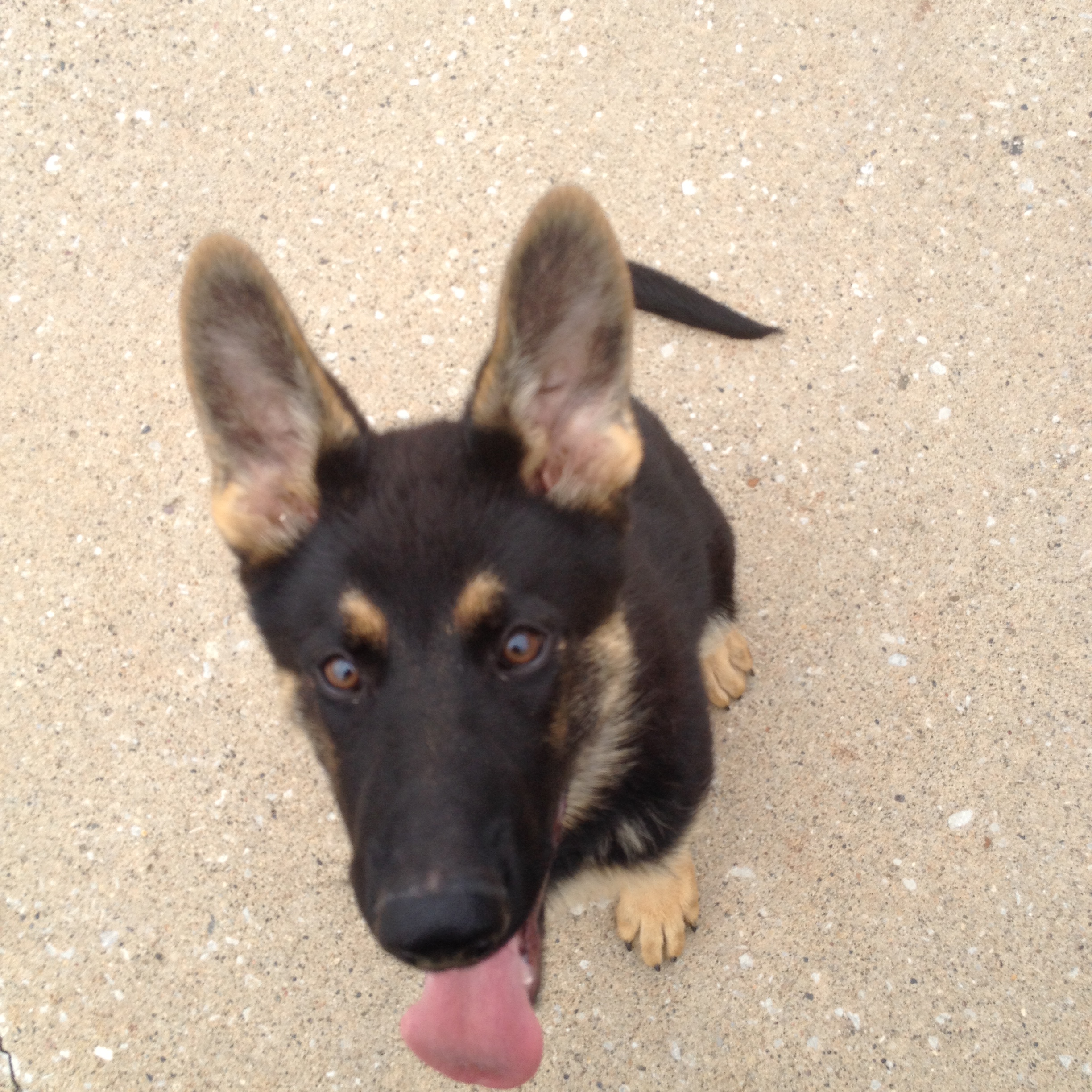 JJames Enterprises Inc's Photo