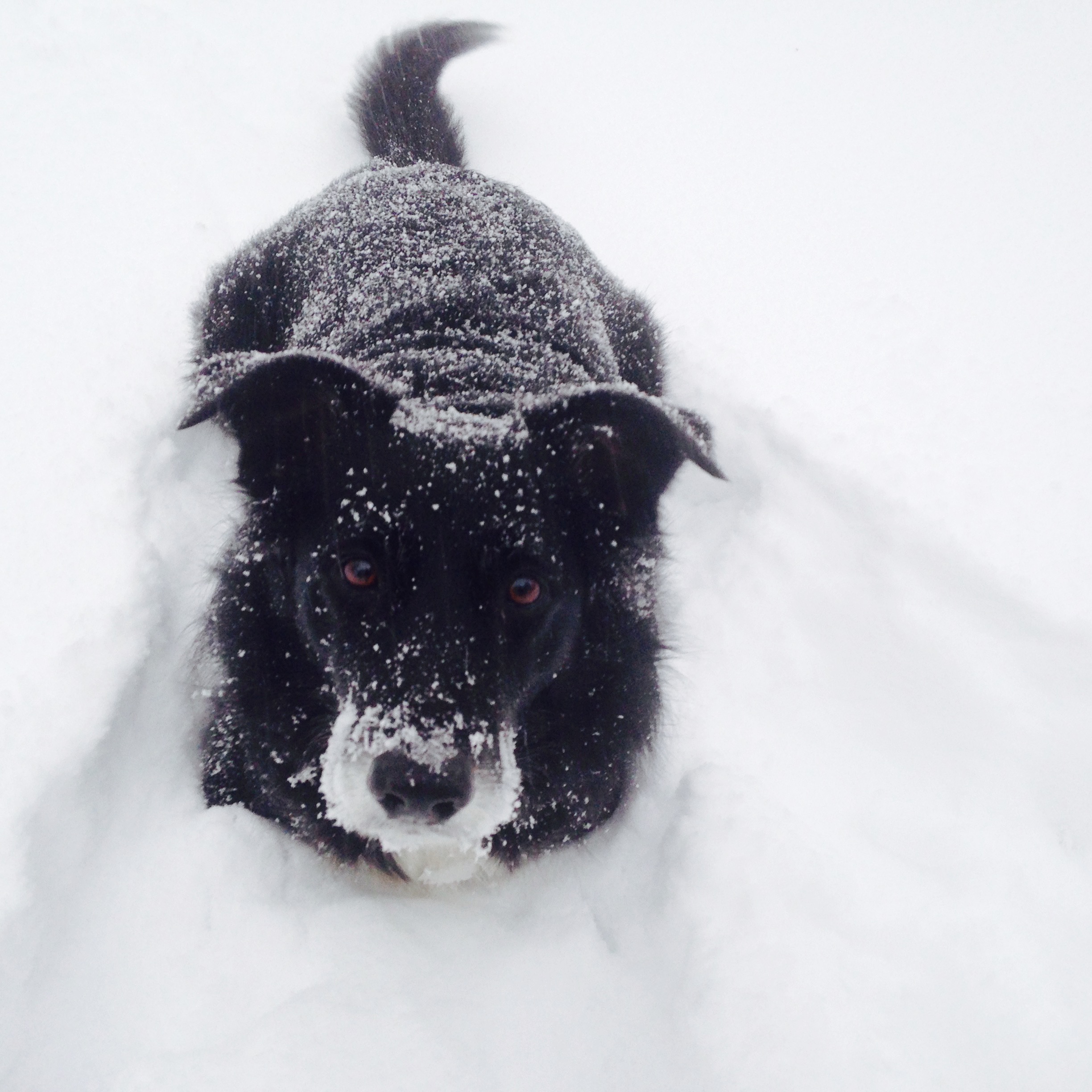 Together By My Side, LLC's Photo