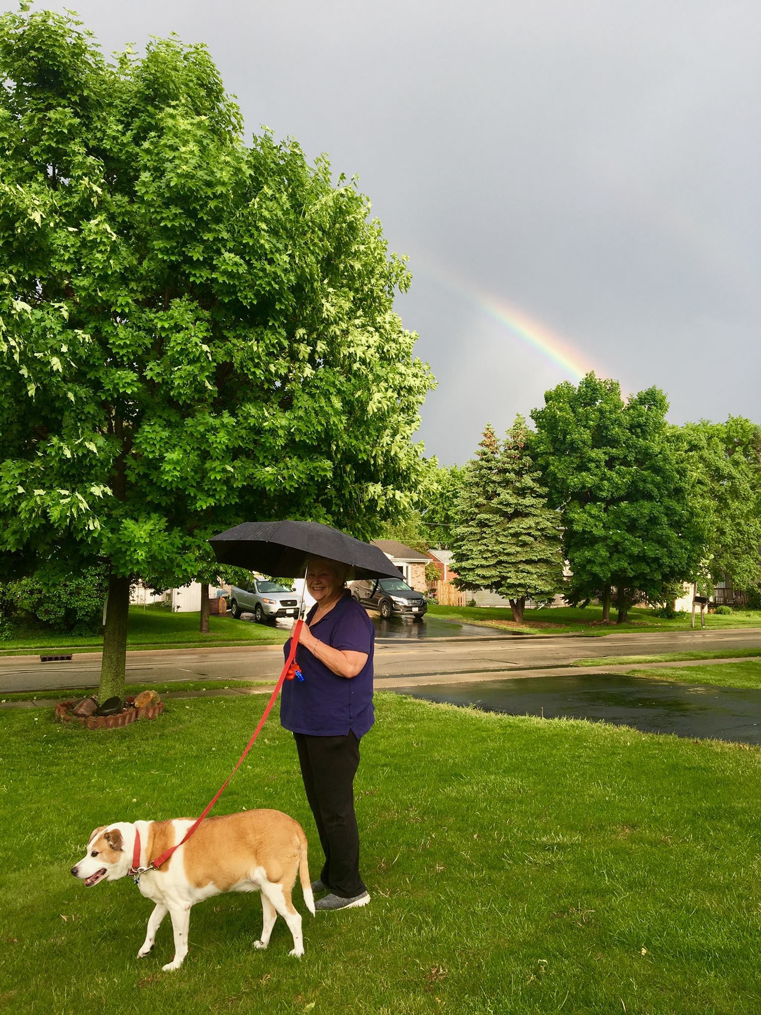 Moody's Dog Walking And Sitter Logo