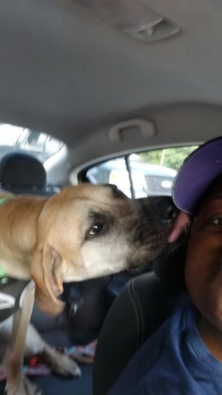 EXCEPTIONAL CONNECTIONS, LLC