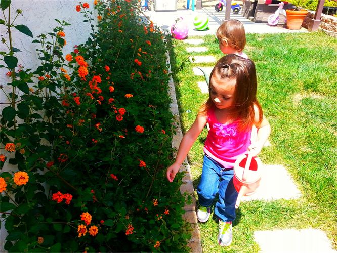 Sweet Pea Christian Daycare & Preschool's Photo