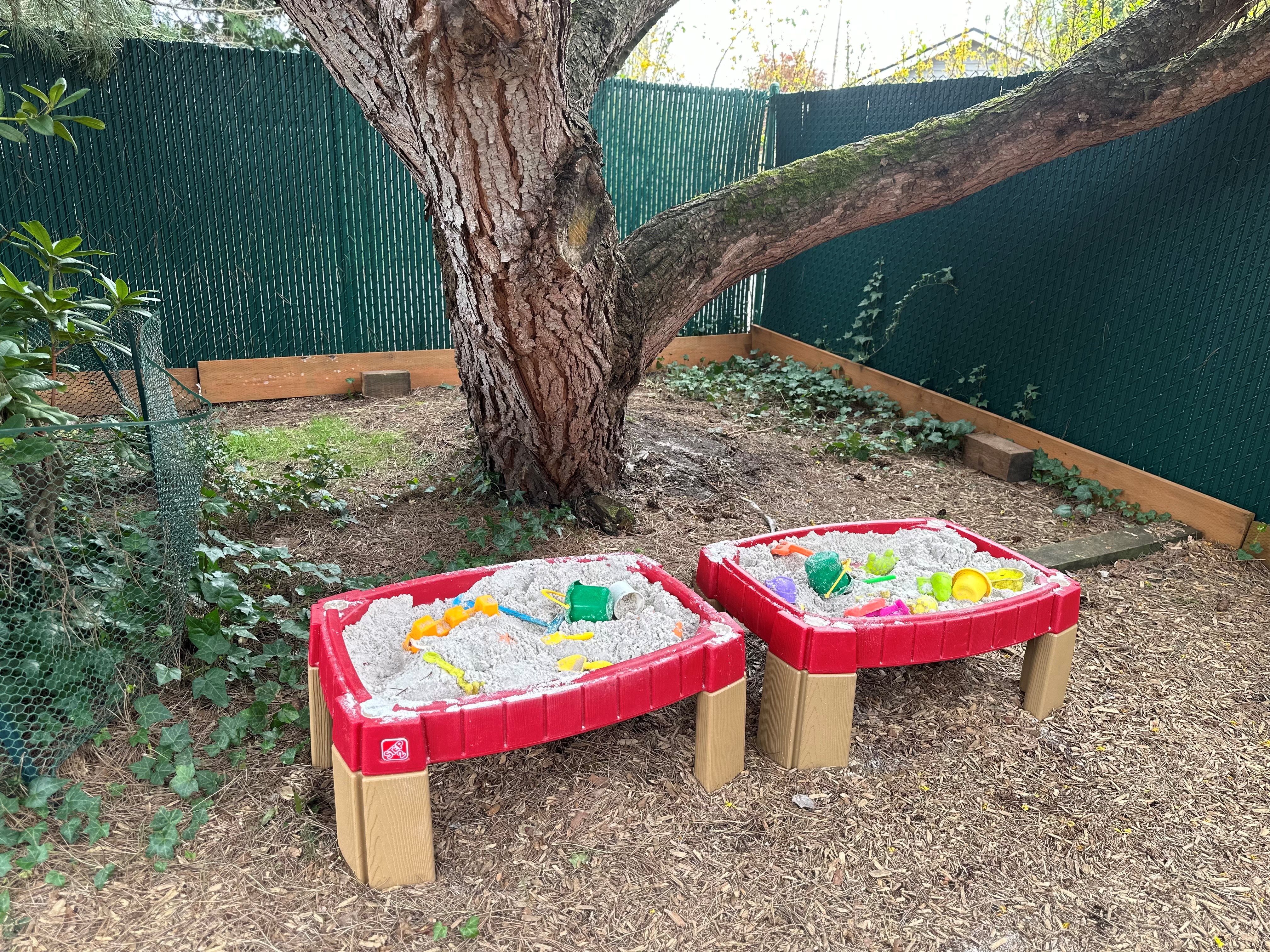 My Friend's House Childcare/Preschool's Photo