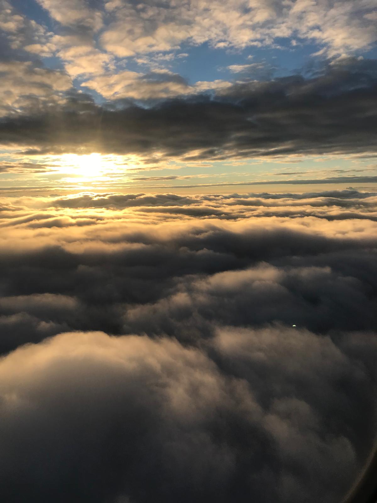 Whole Wellness Homecare's Photo