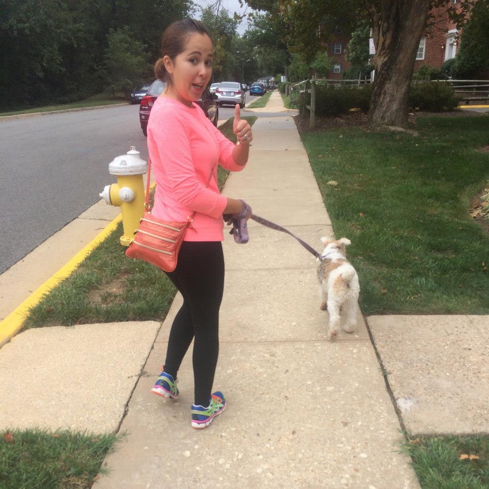 The Wag Pack, Dog Walking & Pet Sitting's Photo