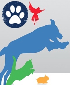 Doggy Duty US's Photo