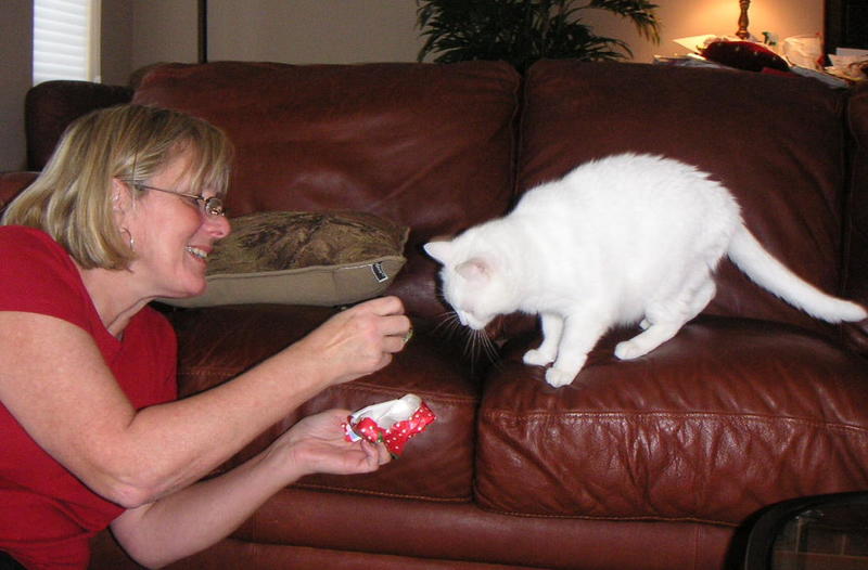 Palm Meow, Inc. Logo