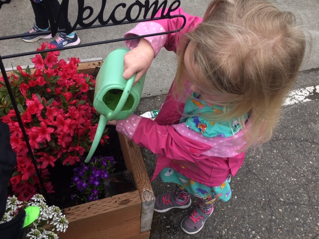 Treetop Village Campus's Photo