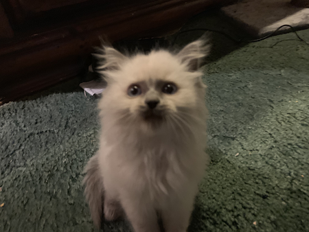 Jax's Pet Care's Photo