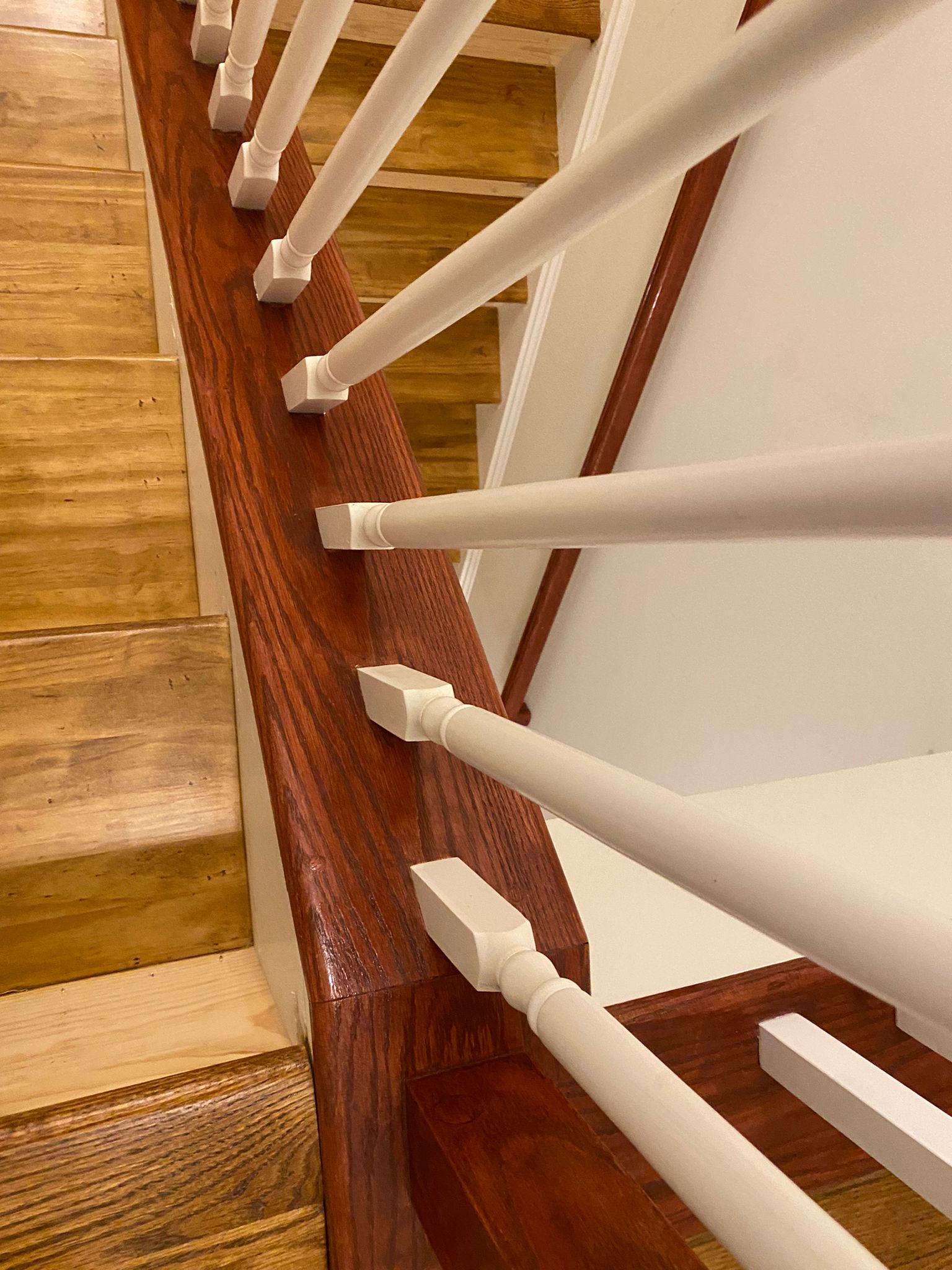 Cleaning Service Fairies's Photo