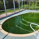 Quality Services LLC Pool Cleaning