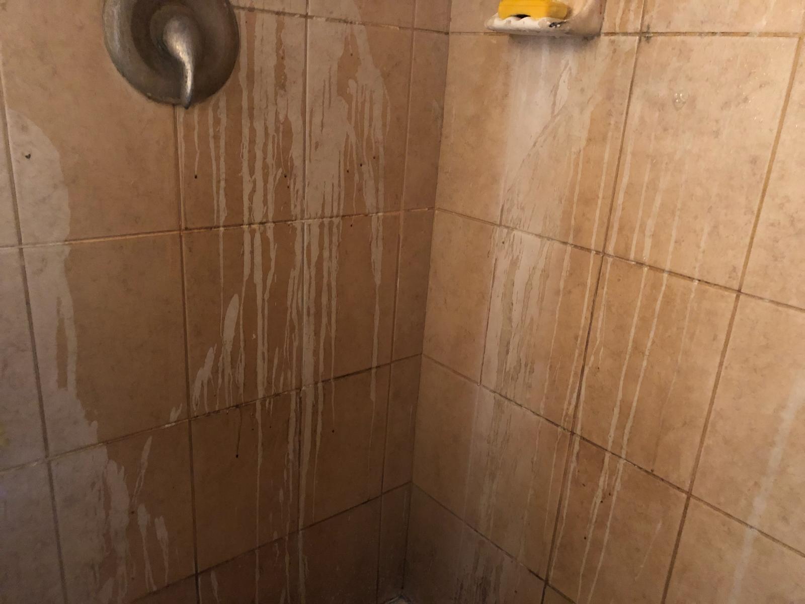 SNS GENERAL SERVICE - SPECIAL CLEAN's Photo