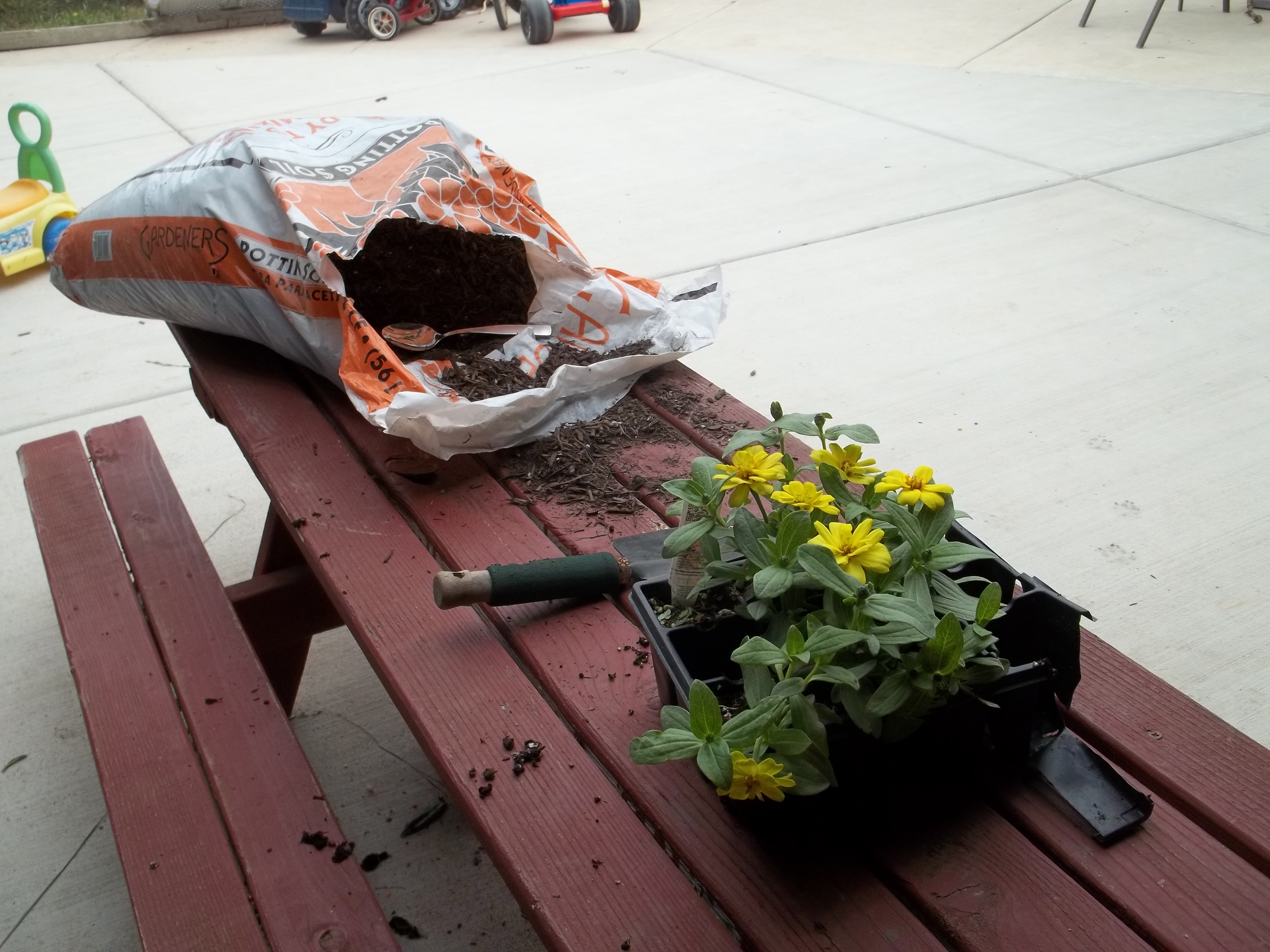 Just For Kids Family Child Care's Photo