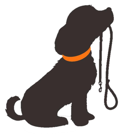 Dre's Dog Walking Ltd's Photo