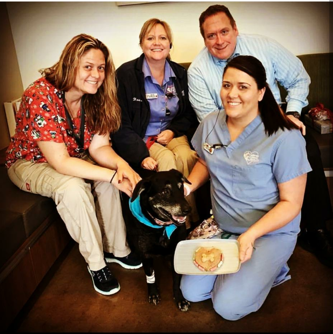 The Love Never Ensz Pet Services's Photo